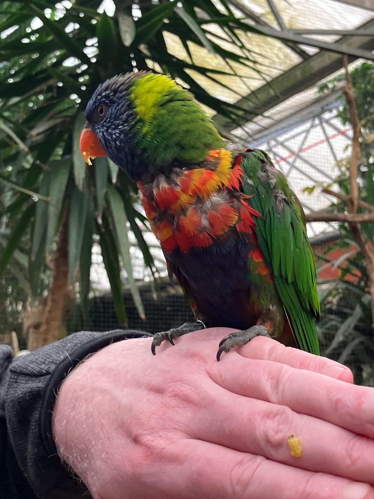 Uitje naar de Orchideenhoeve in Luttelgeest